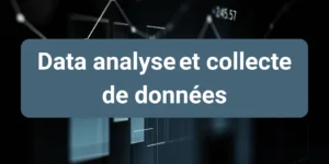Data analyse et collecte de données numériques